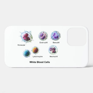 Diagramme des cellules sanguines blanches coques i