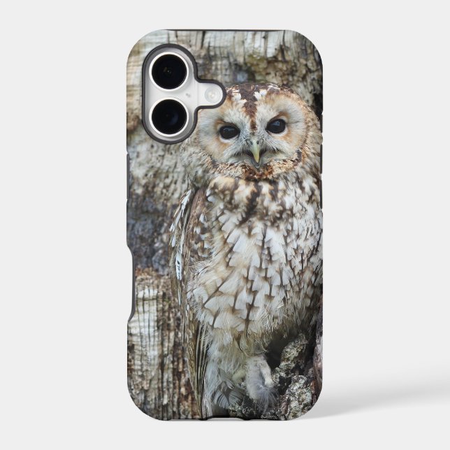 Case-Mate Tough Apple iPhone 11 Case (Back)