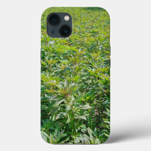 Case-Mate Tough Apple iPhone 13 Case