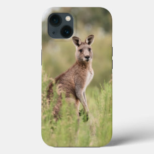 Case-Mate Tough Apple iPhone 13 Case