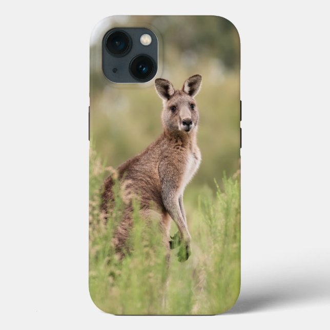 Case-Mate Tough Apple iPhone 13 Case (Back)