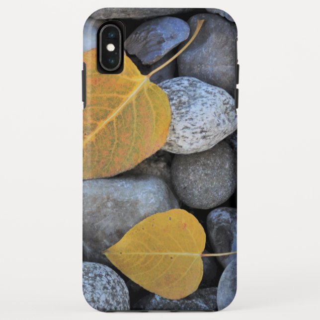 Case-Mate Tough Apple iPhone XS Max Case (Back)