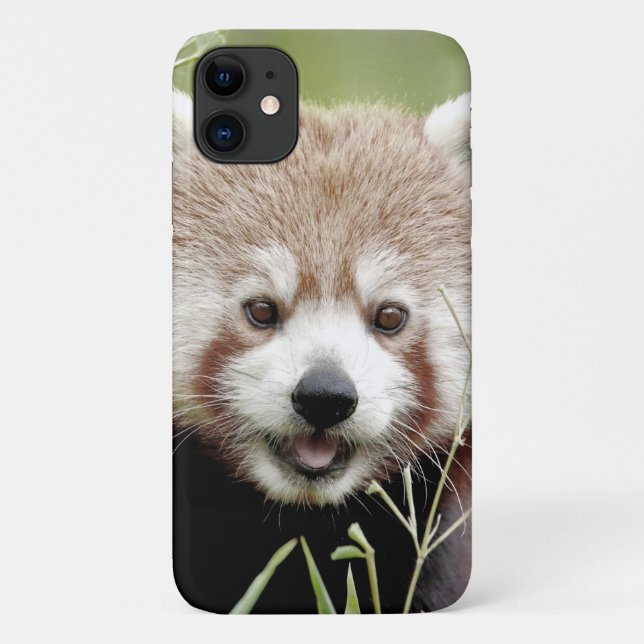 Case Photo red panda, panda roux , animals. (Back)