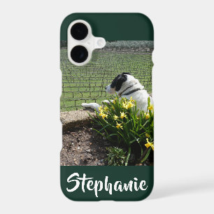 Casemate Chien et Vignes iPhone XR XS Max
