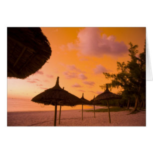 cases de plage de style Palapa au lever du soleil,
