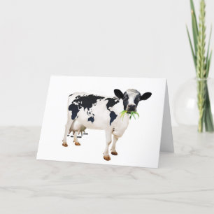 Cash Cow Card