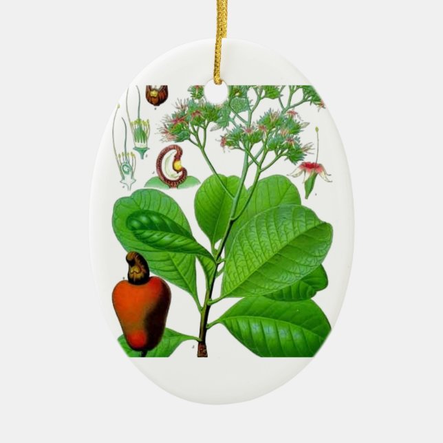 Cashew Ceramic Ornament (Front)