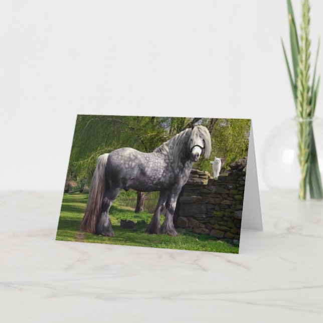 "Caspian & His Cats" Greeting Card (Front)