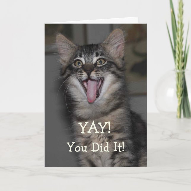 Caspian Kitten Graduation Card (Front)