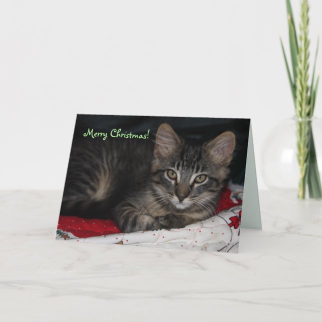 Caspian Merry Christmas Card (Front)