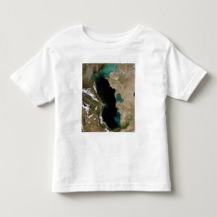 Caspian Sea Toddler T-shirt