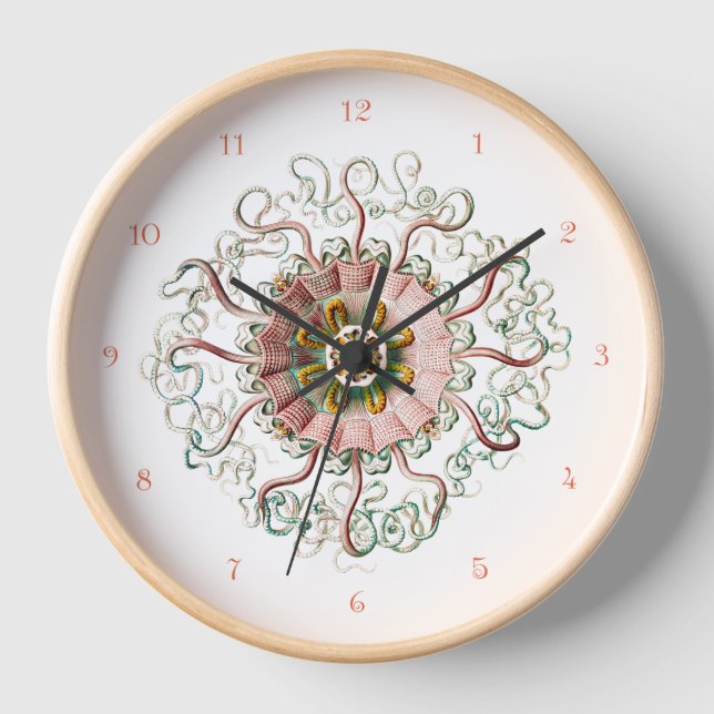 Casque méduse et chiffres coralliens Horloge mural (Recto)