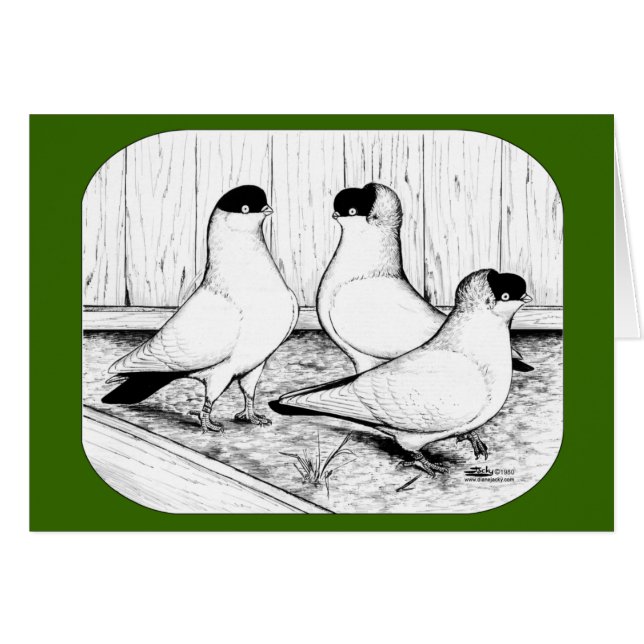 Casque Pigeon Trio (Devant Horizontal)