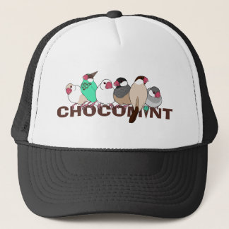 CASQUETTE チョコミント 文鳥