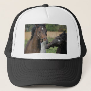 Casquette 2 Chevaux mâcher une clôture