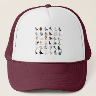 Casquette 36 races de pigeon
