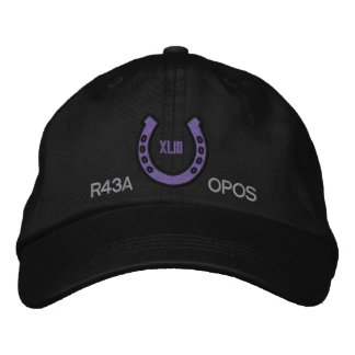 casquette 43 Sqn