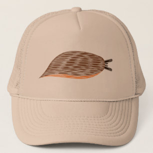 Casquette à limon