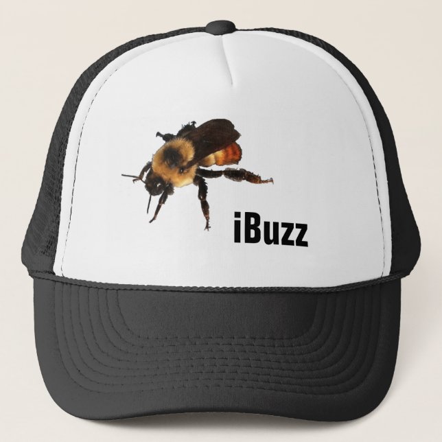 Casquette abeille de miel d'iBuzz (Devant)