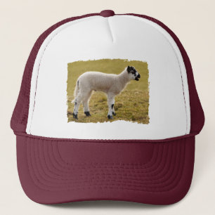 Casquette Agneau noir mignon Bleating Baby Sheep