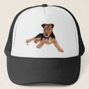 Casquette Airedale / Welsh Terrier Puppy