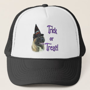 Casquette Akita Trick