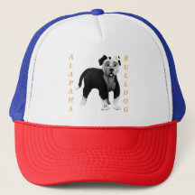 Alapaha Alapaha Blue Blood Bulldog Alapaha Bulldog