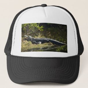 Casquette Alligator Américain se reposant le long d'une zone