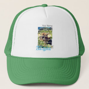 Casquette Alpes d'Allgäu Vache ancienne Bavière Allemagne So