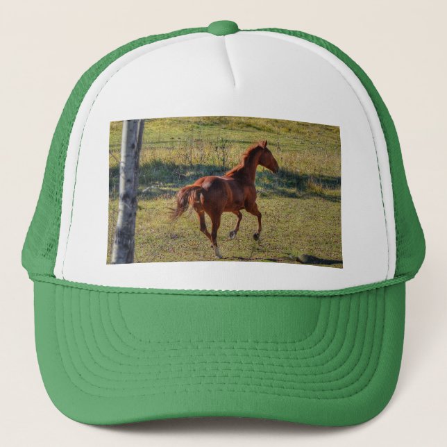 Casquette Amateurs de chevaux Equine Ranch Horse Photo (Devant)