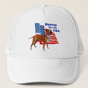 Casquette American Staffordshire Terrier USA