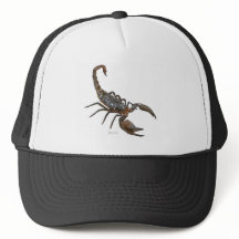 Casquette amical de camionneur de scorpion