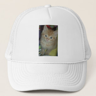 Casquette Amour de tabby