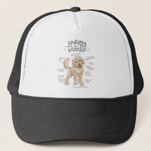 Casquette Anatomie d'un chien de chien