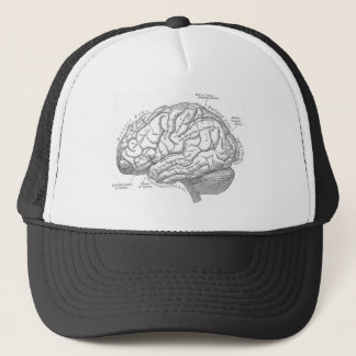 Casquette Anatomie vintage de cerveau