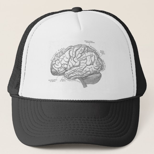 Casquette Anatomie vintage de cerveau (Devant)
