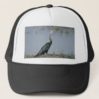 Casquette Animal-Anhinga