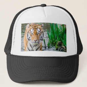 Casquette Animal, casquette, à vendre !