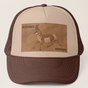 Casquette Antelope du sud-ouest de Pronghorn