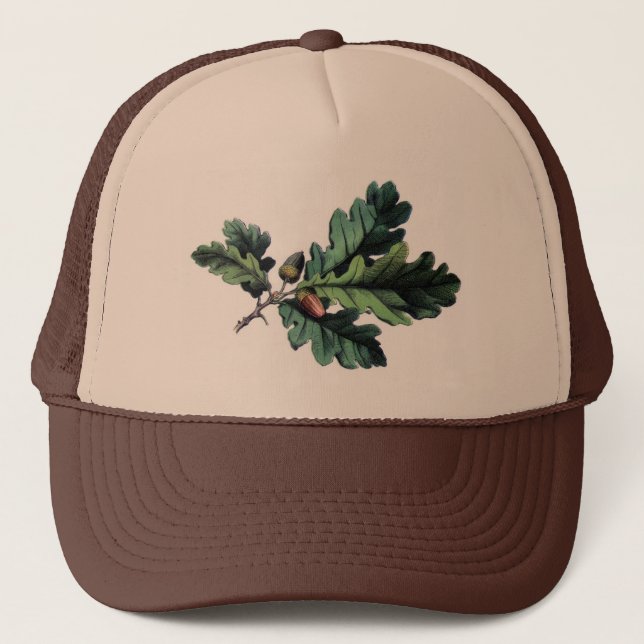 Casquette Antique Botanique Imprimer Chêne Feuilles & Acorns (Devant)