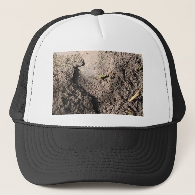 Casquette Ants Go Marching (Devant)