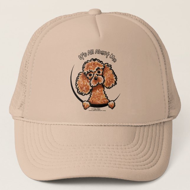 Casquette Apricot Jouet Miniature Poodle IAAM (Devant)