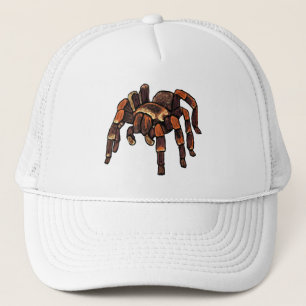 Casquette Araignée de Tarantula