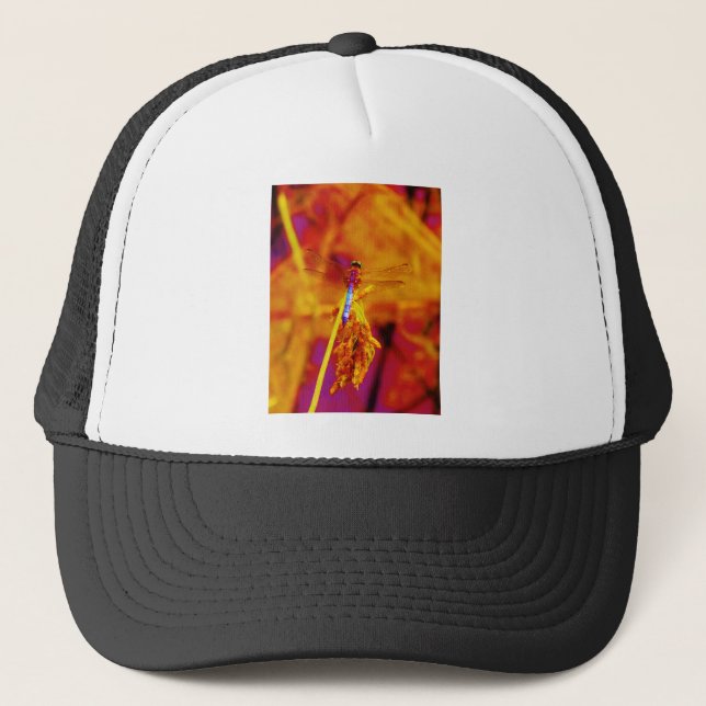 Casquette Arc-en-ciel libellule sur ambre et fuschie (Devant)
