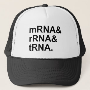 Casquette ARNm ARNr ARNt Types d'ARN