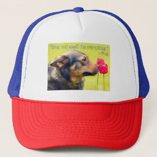 Casquette Arrêtez-vous et sentez tout