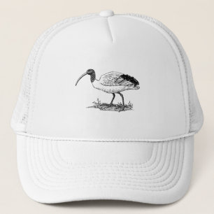 Casquette Art d'oiseau d'IBIS