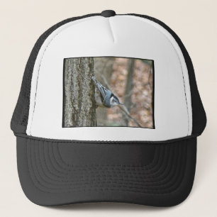 Casquette Articles coordonnés gris ardoise de la sittelle ch