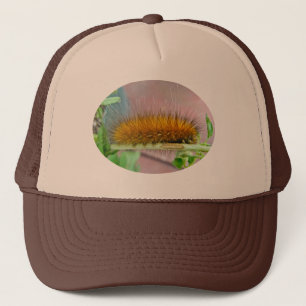 Casquette Articles jaunes de mite de tigre de Virginian de