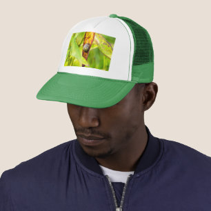 Casquette attachement calme